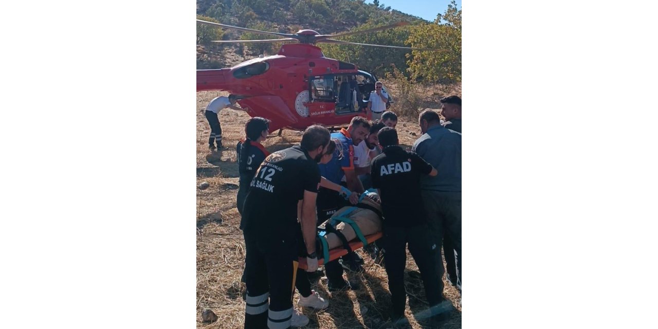 Meyve toplarken ağaçtan düştü, ambulans helikopterle hastaneye sevk edildi