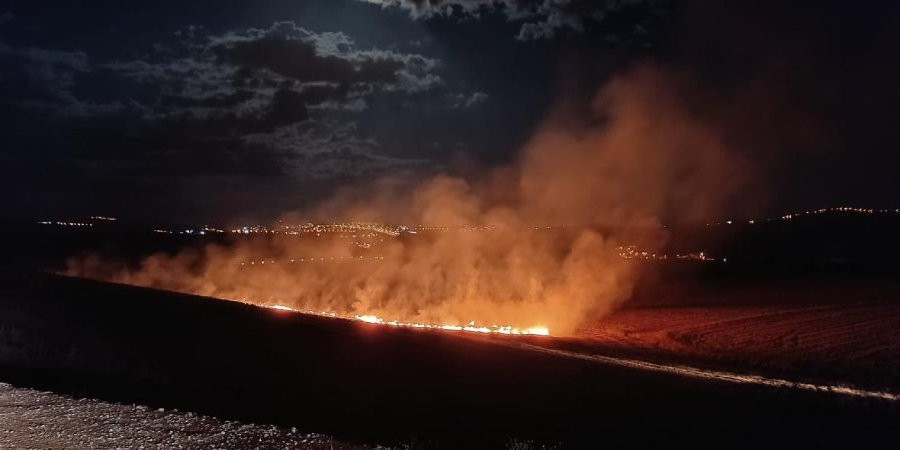 Siirt'te anız yangını çıktı