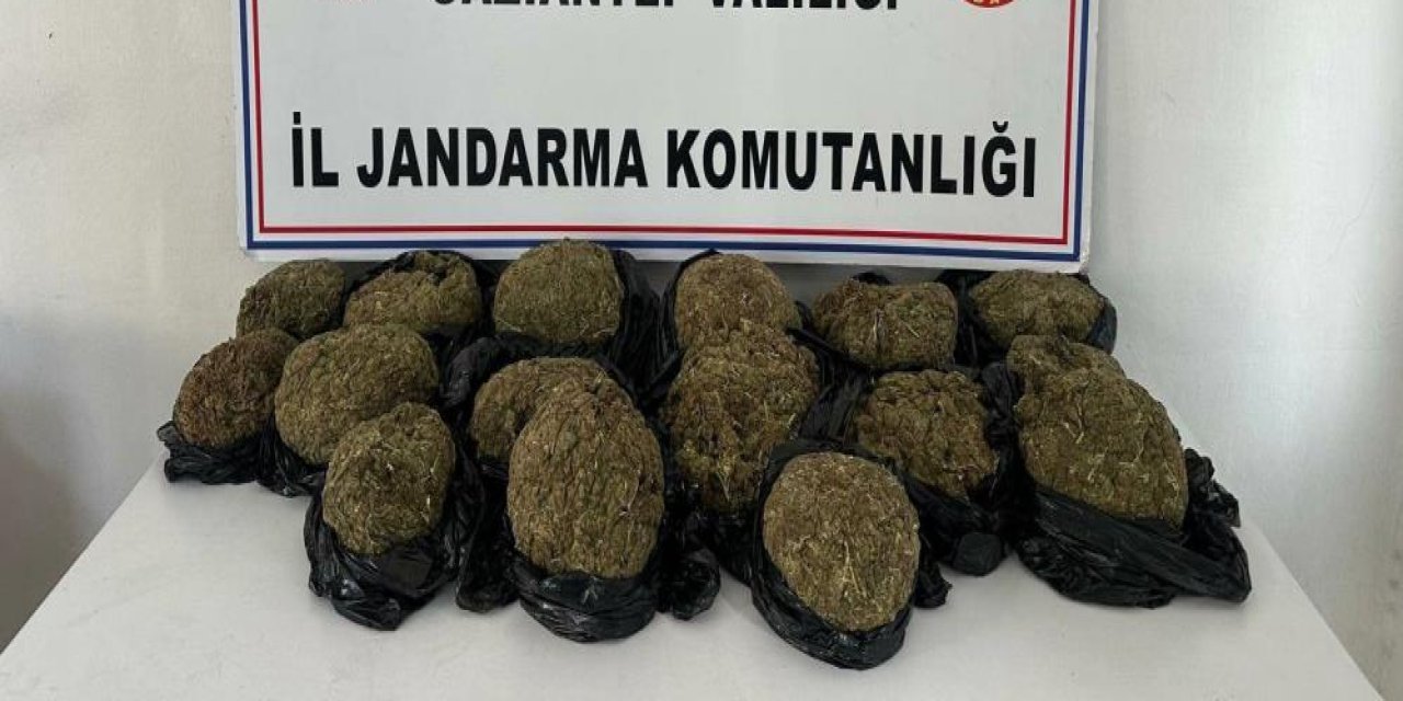 Otobüsün bagajından 18.5 kilo skunk ele geçirildi