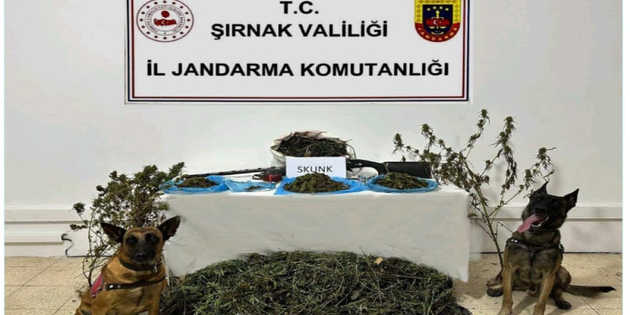 Şırnak’ta Jandarmanın kaçakçılık operasyonlarında 2 tutuklama