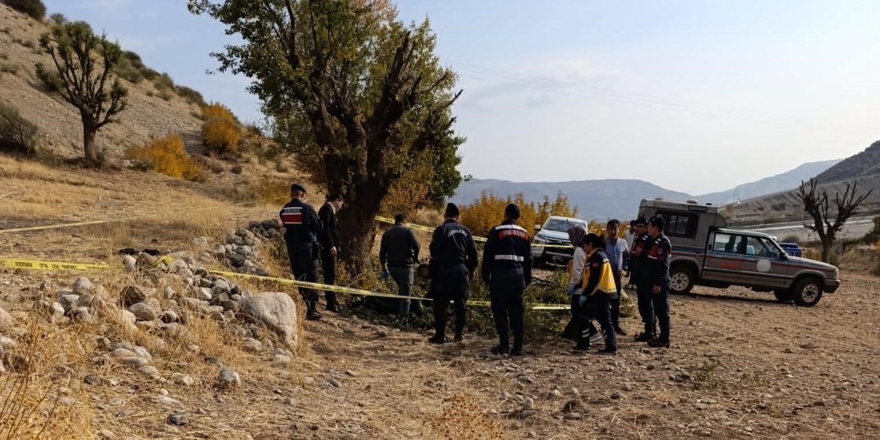 Ağaç budarken düşen yaşlı adam hayatını kaybetti