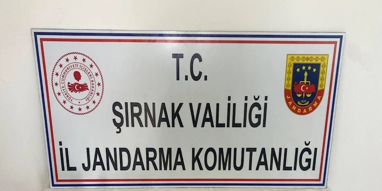 Şırnak'ta Uyuşturucu Operasyonu: 11 Kilo Esrar Yakalandı: 2 Kişi Tutuklandı!