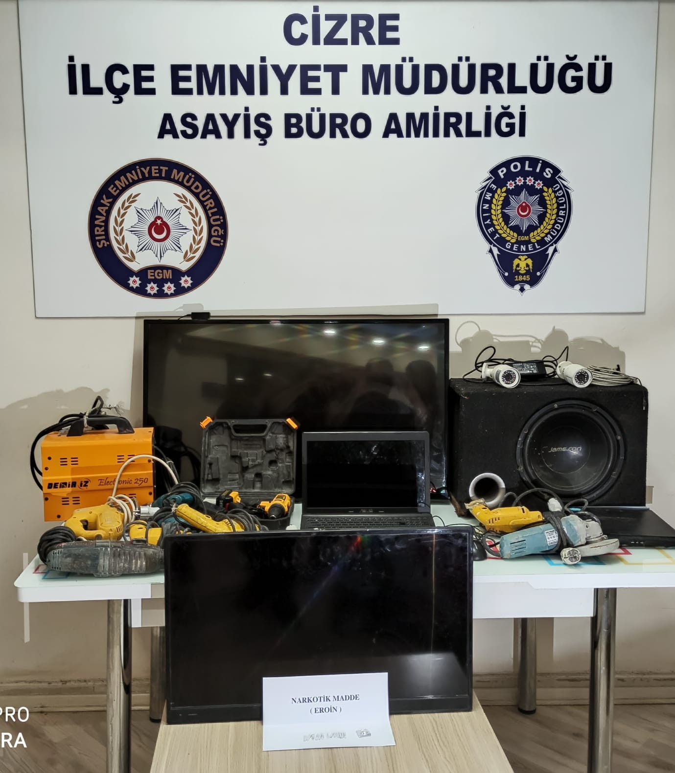 CAMİ FARESİ KISKIVRAK YAKALANDI