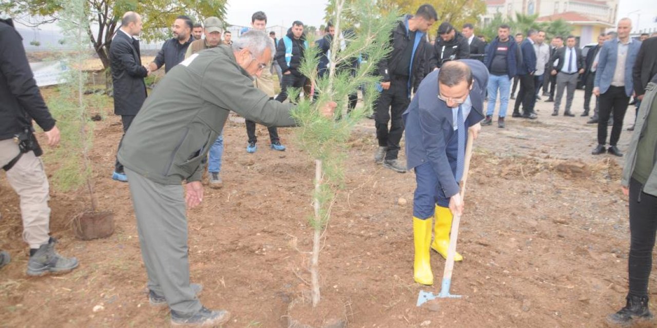 Milli Ağaçlandırma Günü’nde Cizre’de fidanlar toprakla buluştu