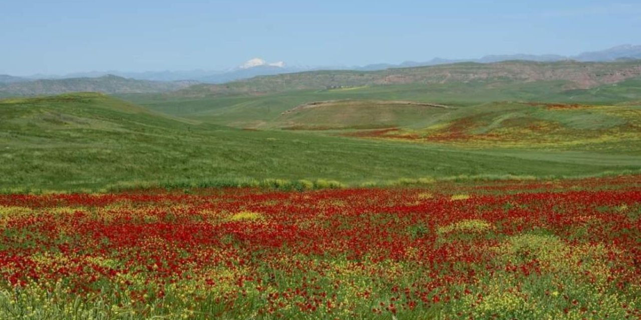 Şırnak'a Komşu İlde Bulunan Garzan Ovası, Büyük Ova İlan Edildi