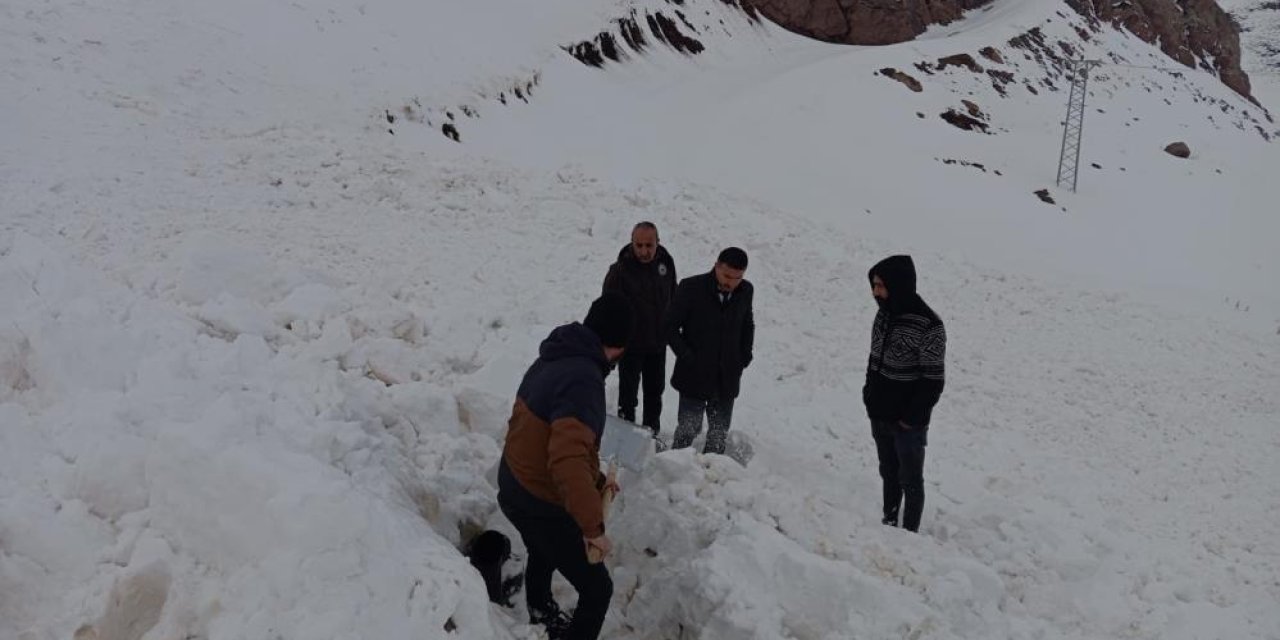 Şırnak’ta yol açma çalışmasında iş makinesinin üzerine çığ düştü