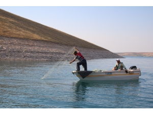 Şanlıurfa Büyükşehir Belediyesi'nden balıkçılara destek