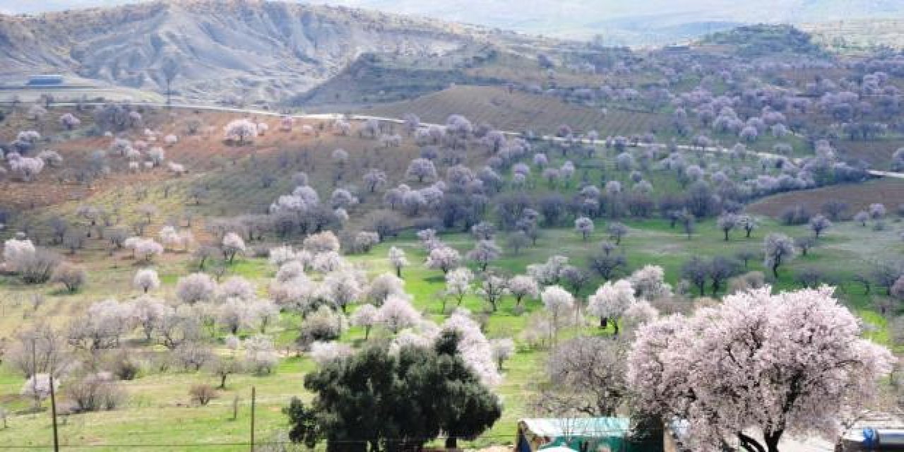 Dünyada sadece Mardin'de var