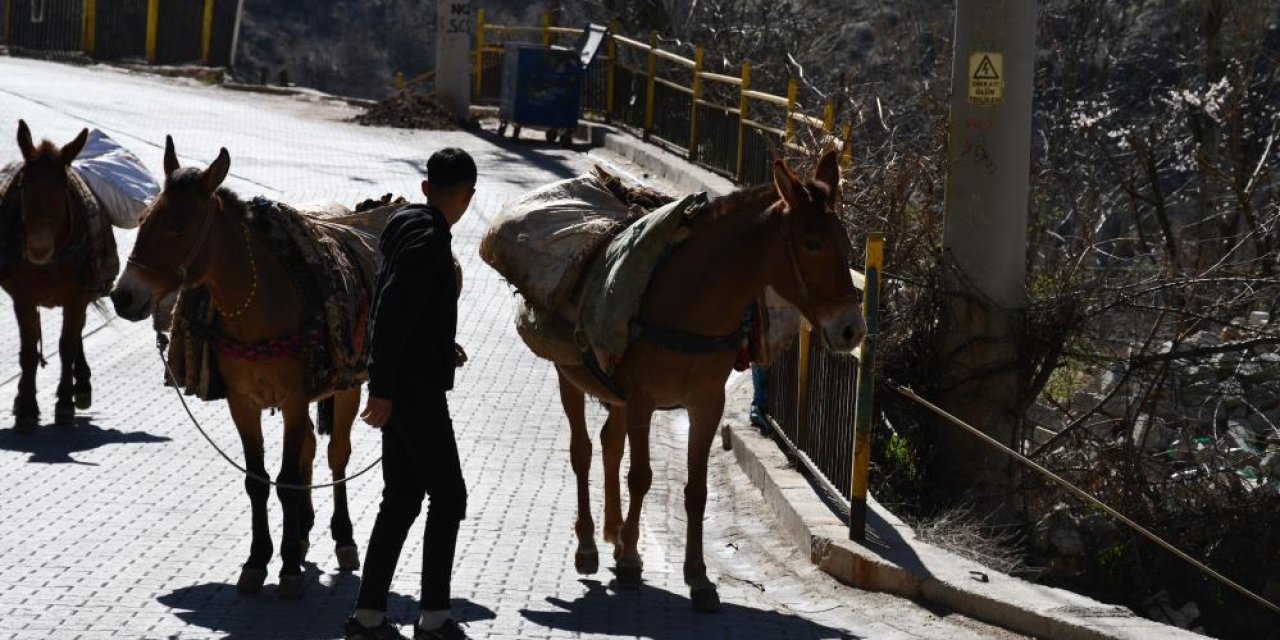 Şırnak'ta Traktörün girmediği tarlalara at sırtında gübre taşınıyor