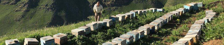HUZUR ORTAMI SAĞLANDI ARICILAR KEL MEHMET DAĞLARINA KOŞTU