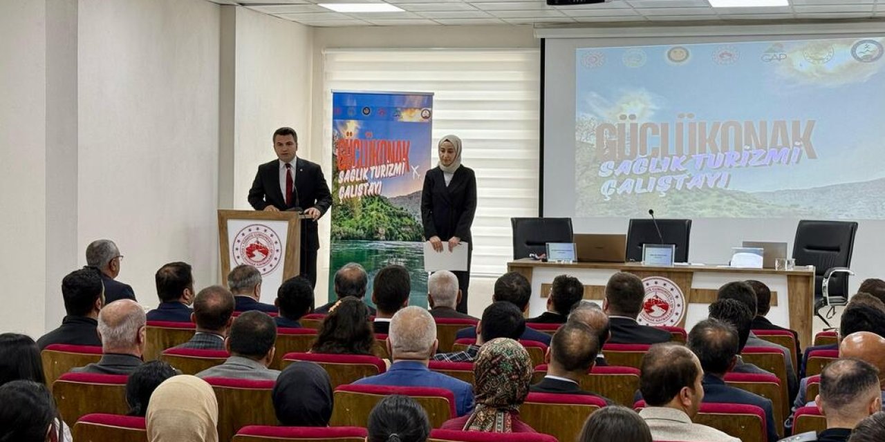 Şırnak'ta Sağlık Turizmi Çalıştayı düzenlendi