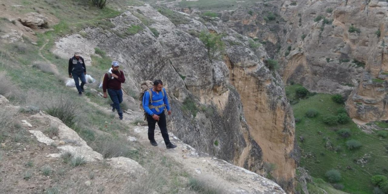 Hayatlarını tehlikeye atarak 400 metrelik kayalıklarda şifa için ot topladı