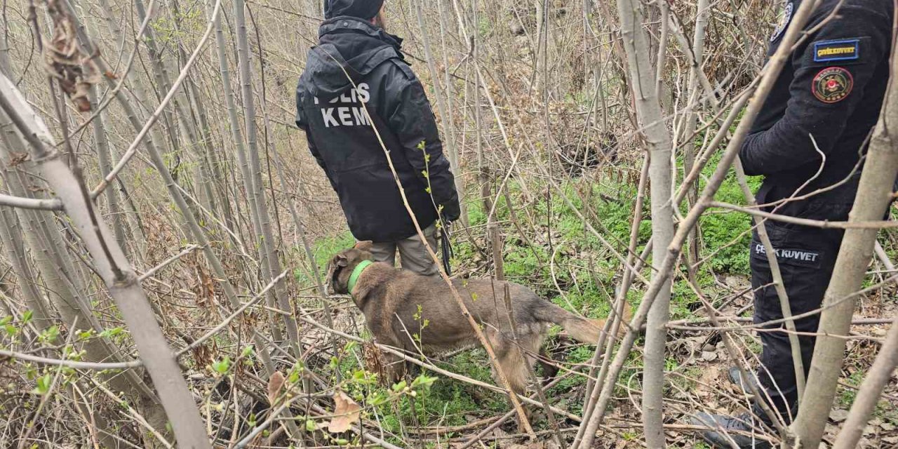 Hakkari’de Günlerdir Aranan Kadından Haber Alınamıyor