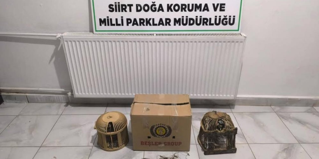 Keklik avlayan 3 kişiye 111 bin 855 lira ceza