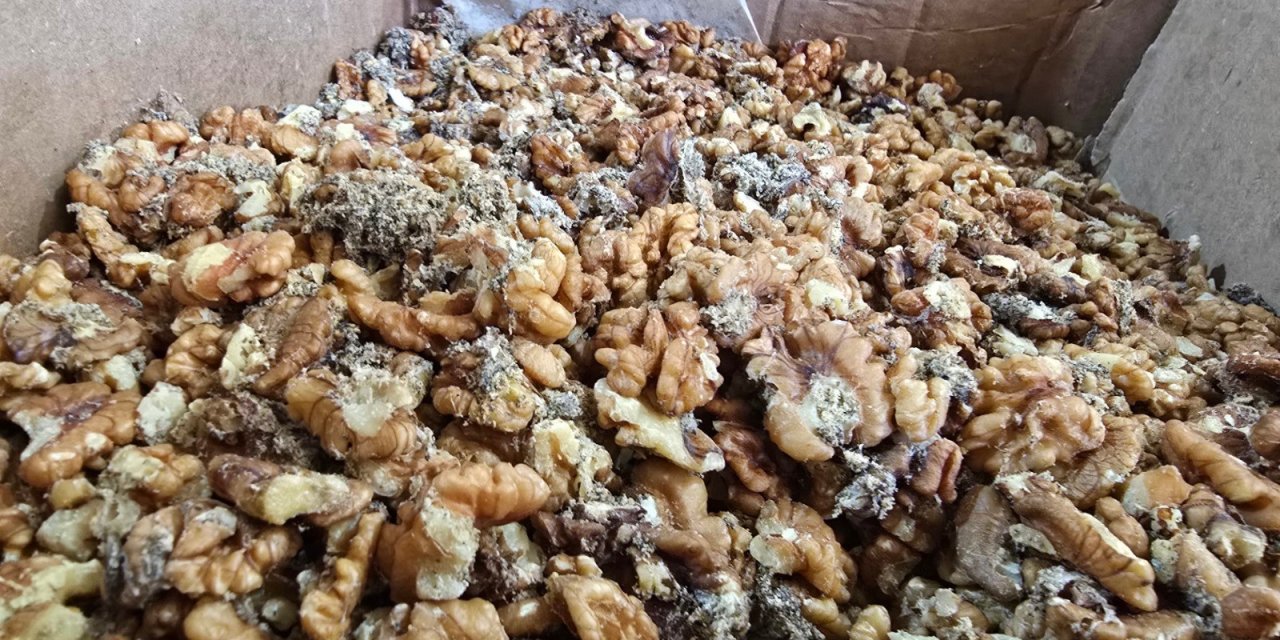 Baklavalık 11 ton küflenmiş ve kurtlanmış ceviz ele geçirildi