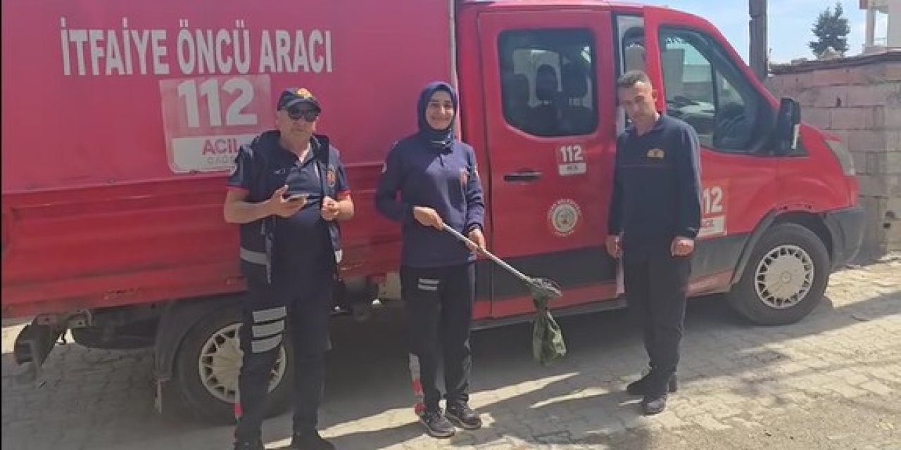 Cizre’de Eve Giren Yılan İtfaiye Ekipleri Tarafından Yakalandı