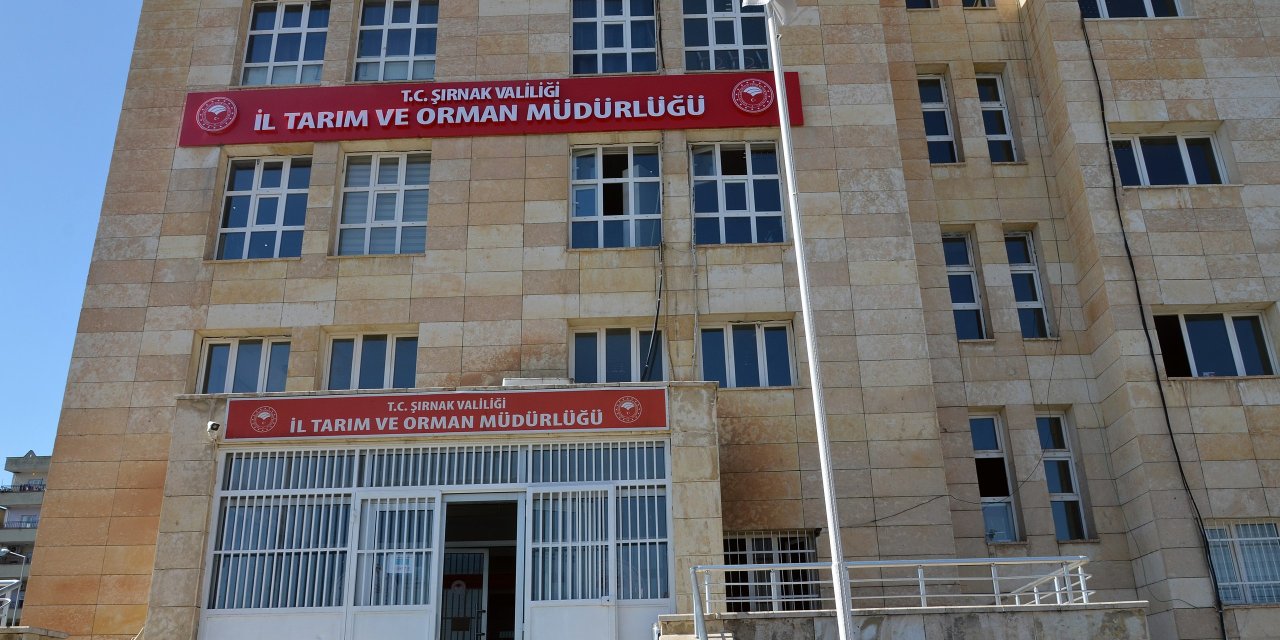 Şırnak Tarım ve Orman Müdürlüğü İŞKUR Kura Sonucu Belli Oldu! İşte İsmi Çıkanlar