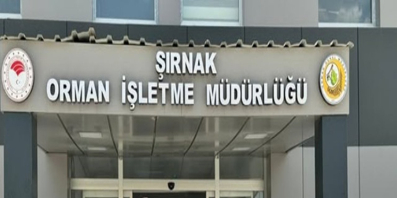 Şırnak Orman İşletme Müdürlüğü’ne Alınacak 17 Kişi Belli Oldu!