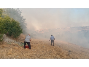 Adıyaman'da anız yangını ağaçlığa sıçradı, 50 dönüm alan zarar gördü