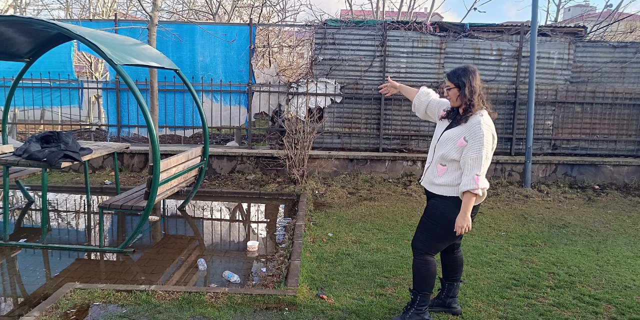Şırnaklı Öğrenciden Bingöl'de Örnek Proje: Çevreye Duyarlı Nesiller Yetişiyor