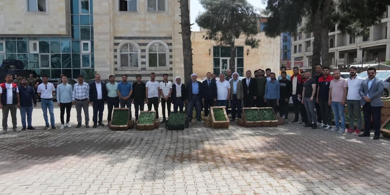 Şırnaklı Çiftçilere 21 Bin Sebze Fidesi Dağıtıldı