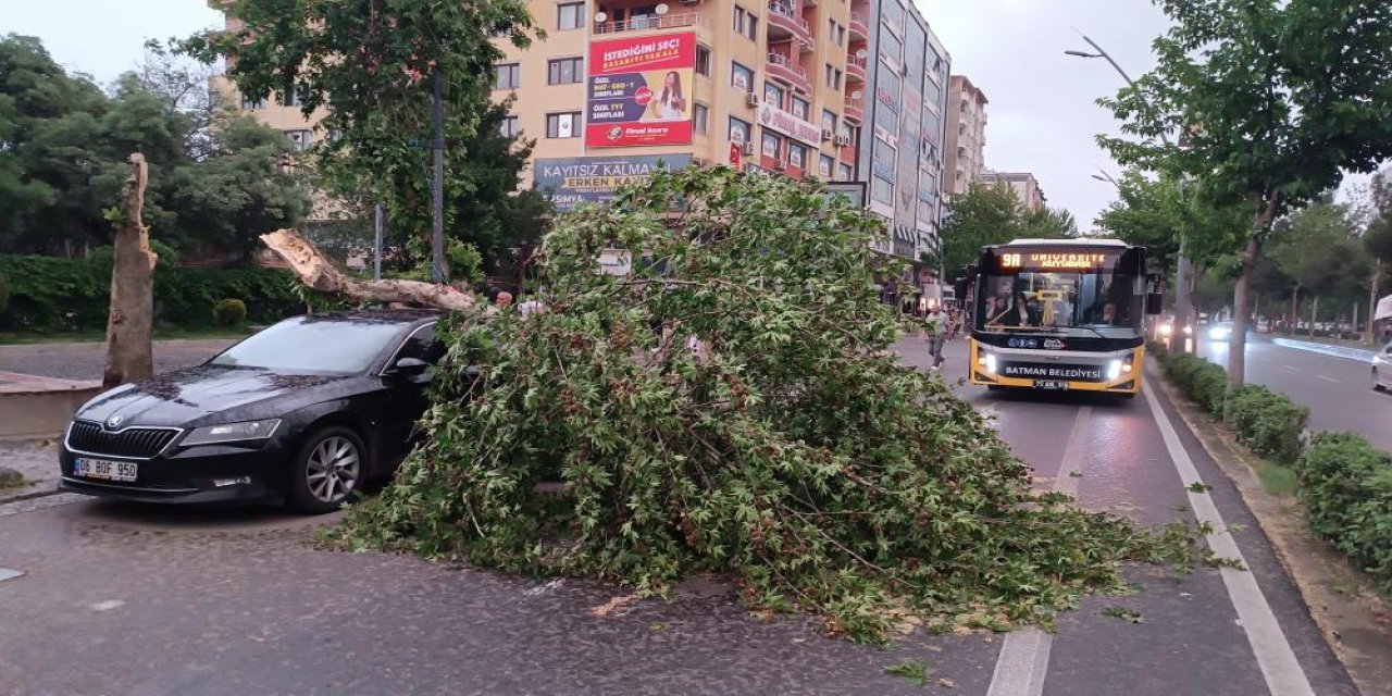Batman’da fırtınada devrilen ağaç, aracın üzerine düştü