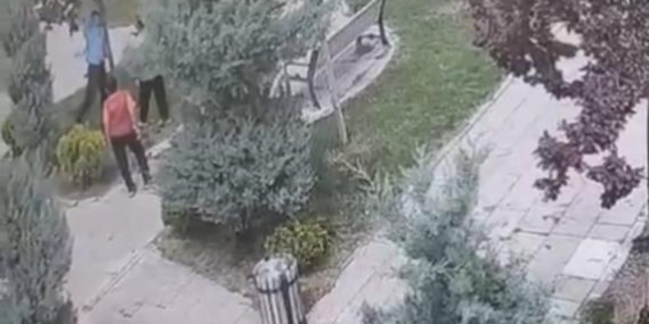 Mardin'de ağaçlara zarar veren bir grup genç, güvenlik kameralarına yakalandı