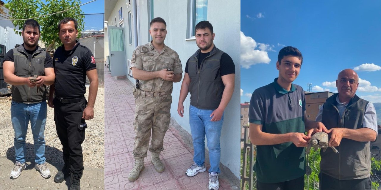 Şırnak’ta Yaban Hayvanları Tedavi Altına Alındı