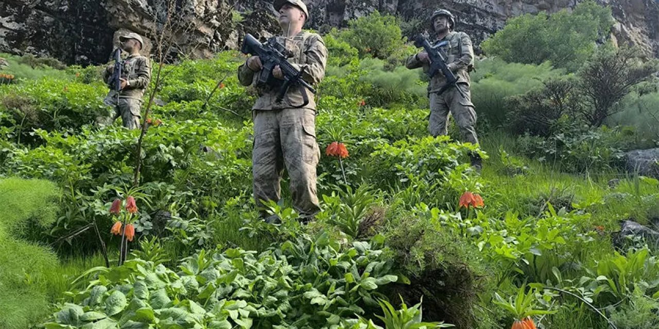 Şırnak'a Komşu Olan Hakkari'de Açılan Çiçekler Jandarma'nın Korumasında: Koparana 577 Bin TL Ceza
