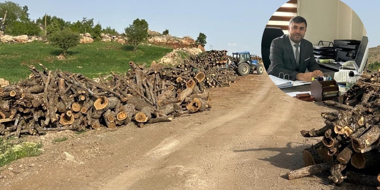 Av. Mahmut Sidar'dan Orman Kıyımı Tepkisi: “Ağaç Kesenlere Hukuki Destek Vermeyeceğim!”