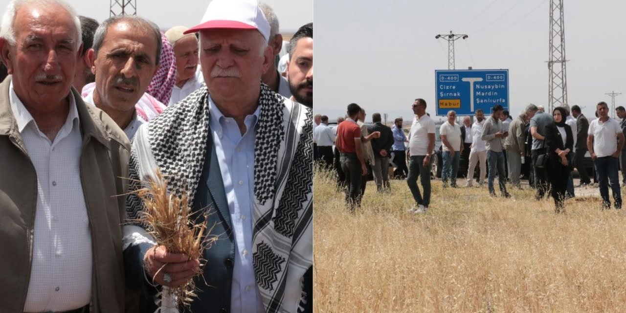 'Şırnak’ta şiddetli kuraklık yaşanıyor, ürünler yüzde 100 zarar gördü'