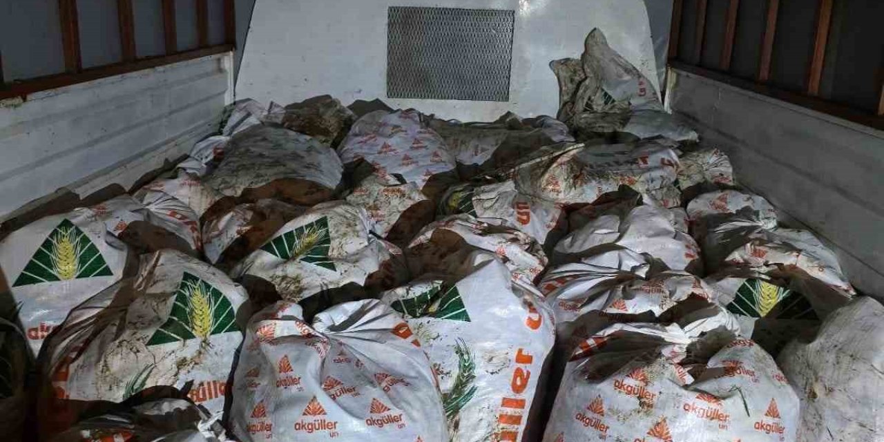 Van’da kaçak avlanmış 3 tondan fazla inci kefali ele geçirildi