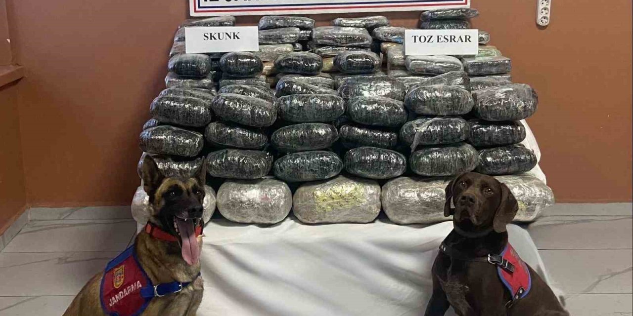 Van’da 90 kilo uyuşturucu ele geçirildi