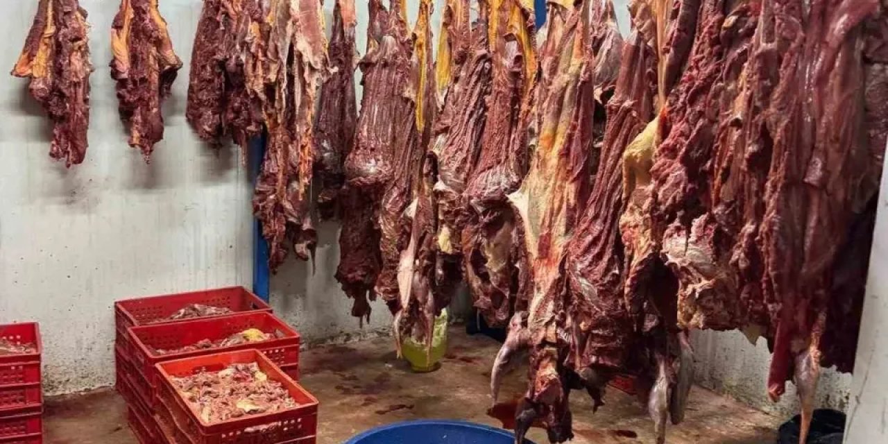İnsanlara At Eti Yedireceklerdi! Yakalandılar: 3 Ton Bozulmuş Et Ele Geçirildi