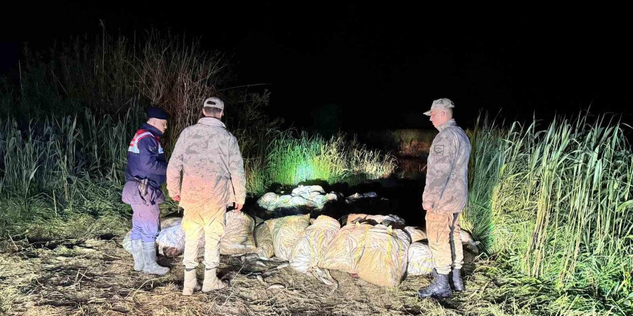 Van’da kaçak avlanmış 15 ton inci kefali ele geçirildi