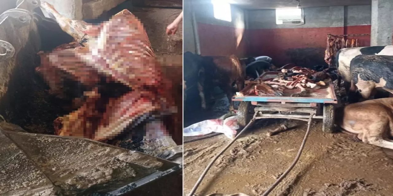 Suç Üstü Yakalandılar: Evde Kesilmiş Halde 2.5 Ton At Eti Yakalandı!