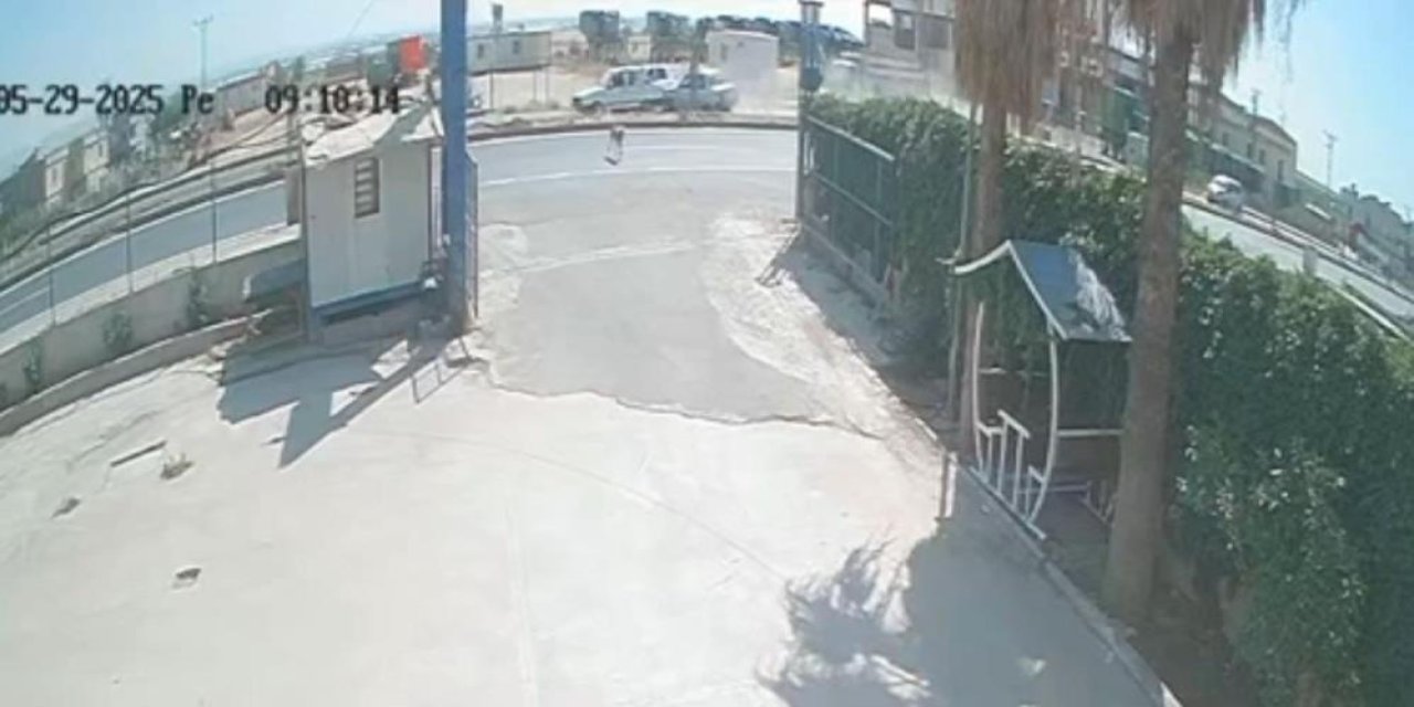 Sokak köpeği zincirleme kazaya neden oldu: 4 kişi yaralandı