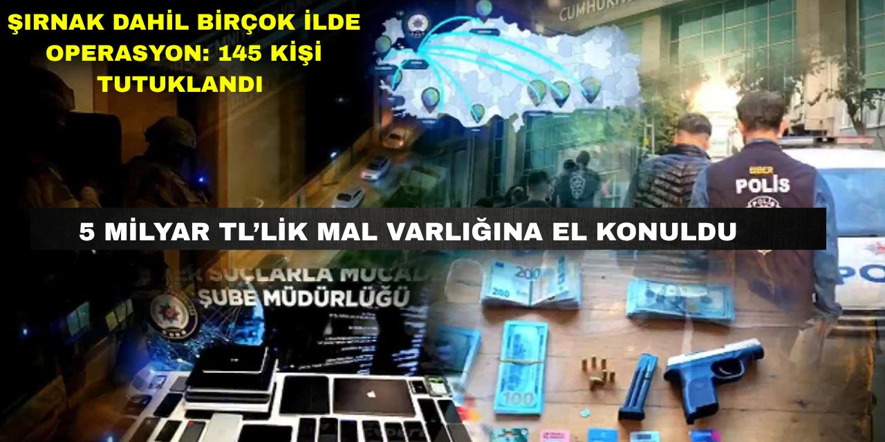 Şırnak, Diyarbakır, Mardin, Hakkari ve Şanlıurfa'da Dolandırıcılık Operasyonu: 145 Kişi Tutuklandı