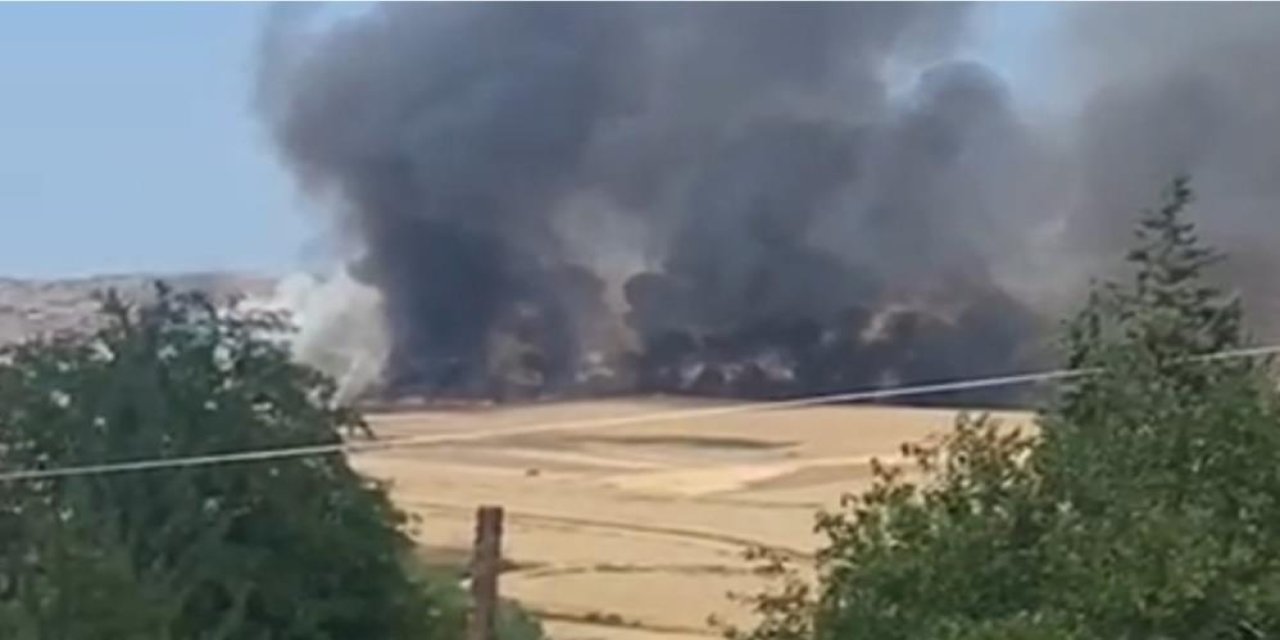 Siirt'te 350 dönümlük buğday tarlası küle döndü