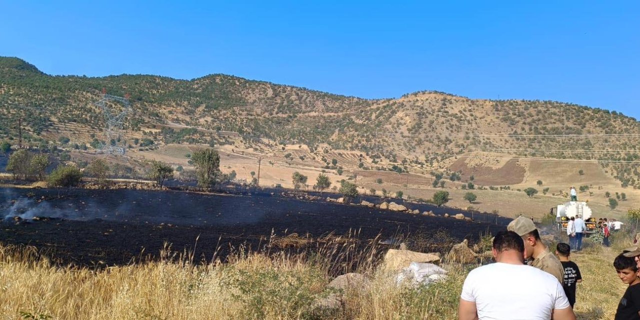 Şırnak’ta 50 Dönüm Buğday Tarlası Yandı