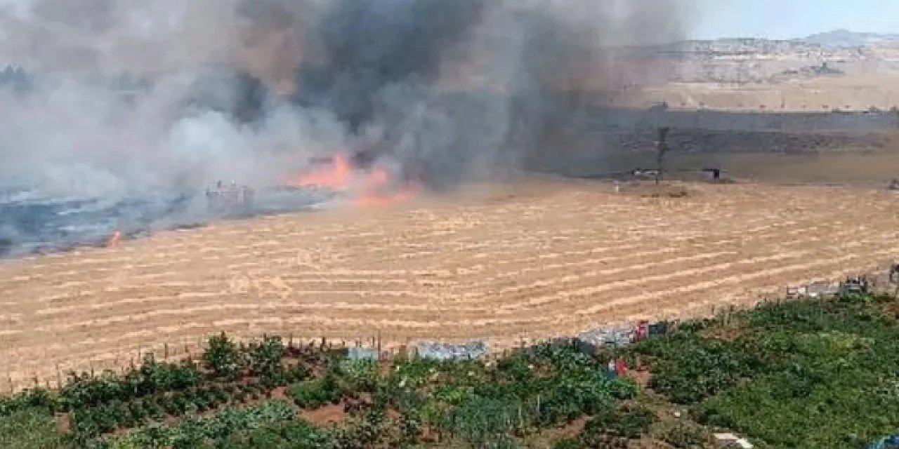Silopi Belediyesi: “Anız Yakmak, Geleceğimizi Yakmak Demektir!”
