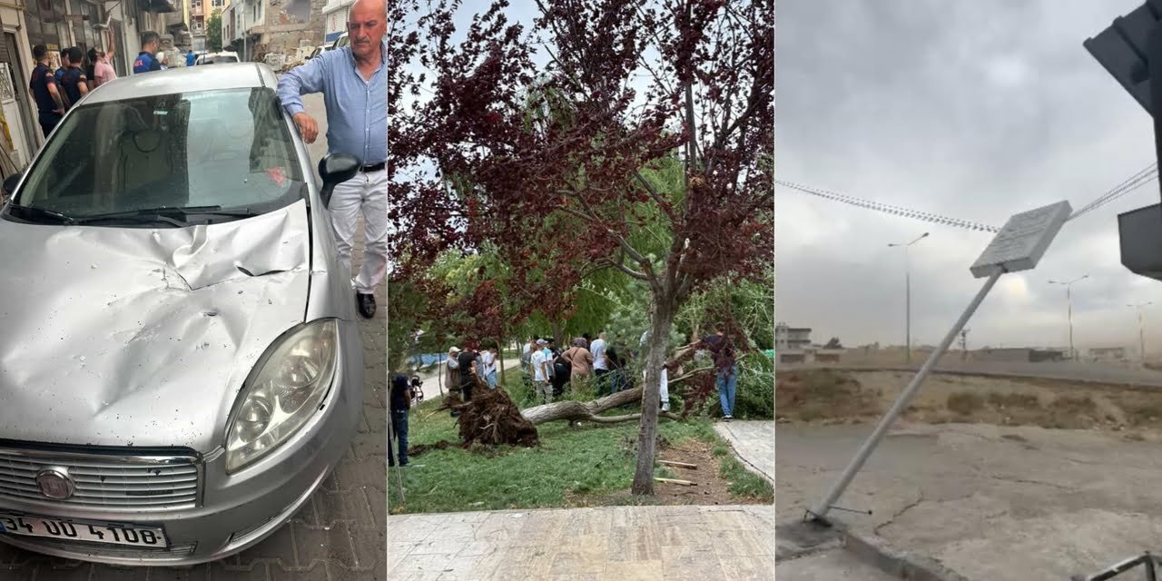 Siirt'te şiddetli fırtınada ağaçlar devrildi, araçlar zarar gördü