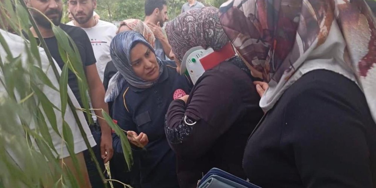 Siirt'te devrilen ağacın altında kalan 2 kişi yaralandı