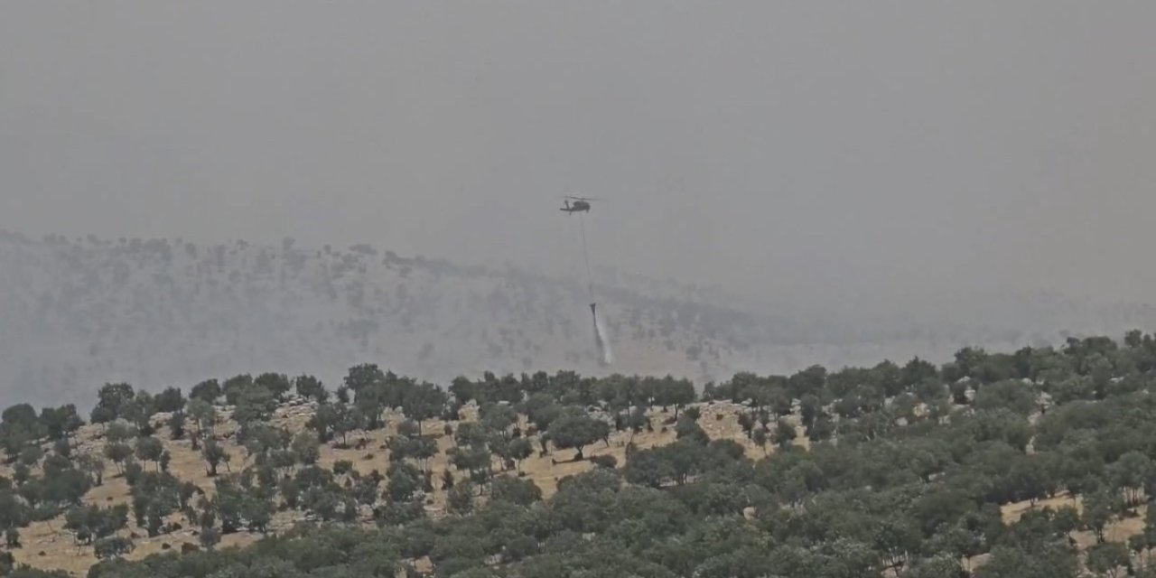 Mardin’de Çıkan Orman Yangını Kontrol Altına Alındı