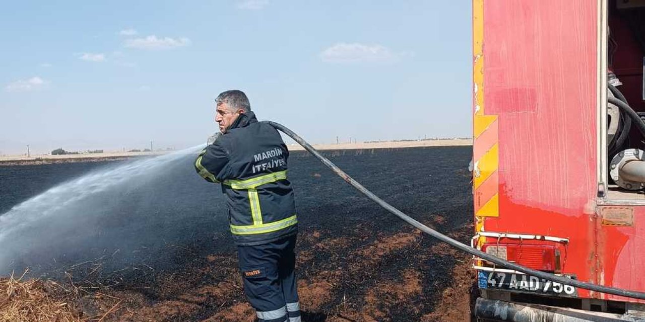 Mardin'de  400 dekar buğday ekili alan yandı