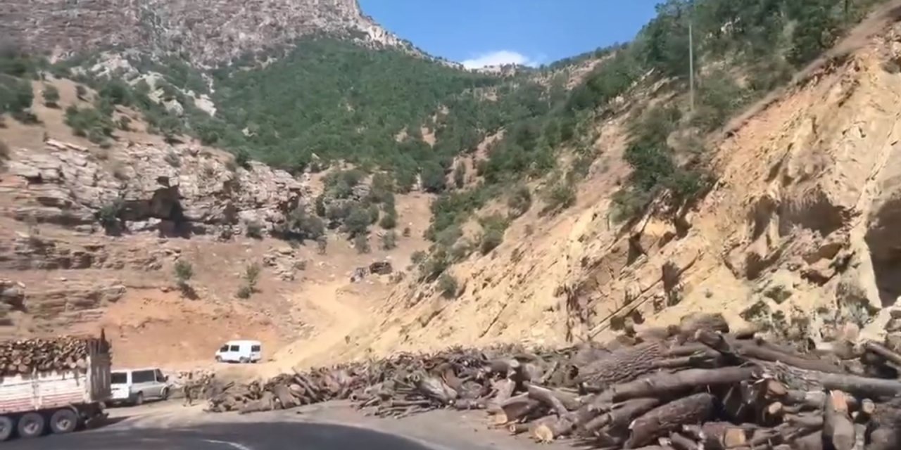 Milletvekili Demir, Bakan Yumaklı’ya Şırnak’taki ağaç kesimlerini sordu