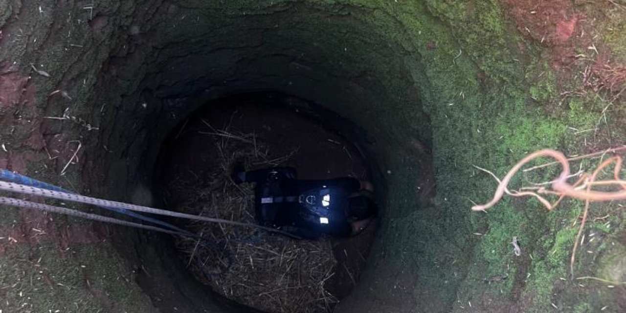 Kızıltepe'de kuyuya düşen koyun için ekipler seferber oldu