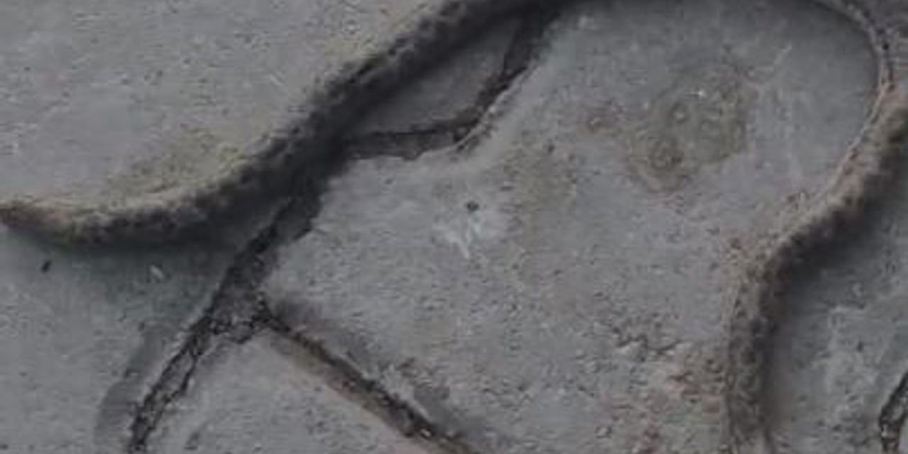 Çift başlı yılan görenleri şaşkına uğrattı!