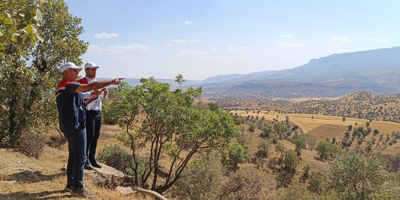 Şırnak’ta Tarım İl Müdürlüğü Çalışma Başlattı! İşlenmeyen Araziler Kiraya Verilecek!