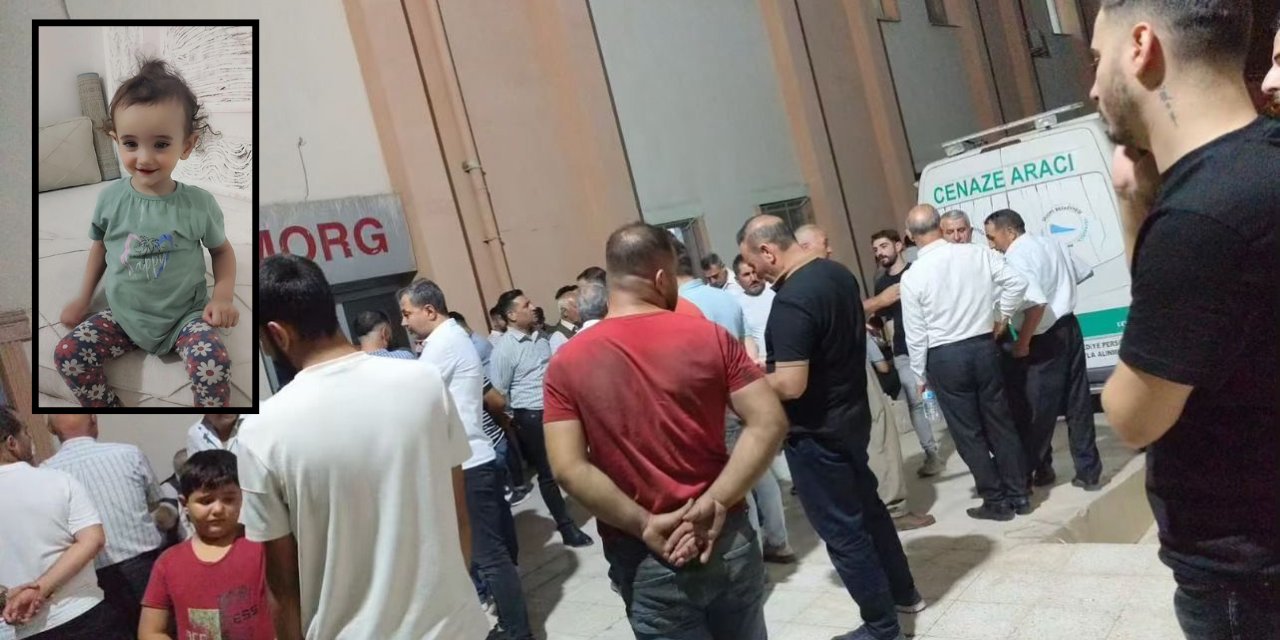 Şırnak'ta 2 yaşındaki kız çocuğuna Tır ile çarparak öldüren sürücü gözaltına alındı